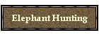 Elephant Hunting