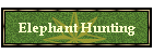 Elephant Hunting