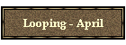 Looping - April