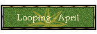 Looping - April