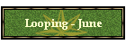 Looping - June