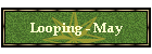 Looping - May