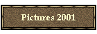 Pictures 2001