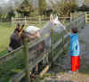 Cheshire holiday